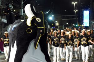 Campos Folclore Folia dia 30 no Cais da Lapa